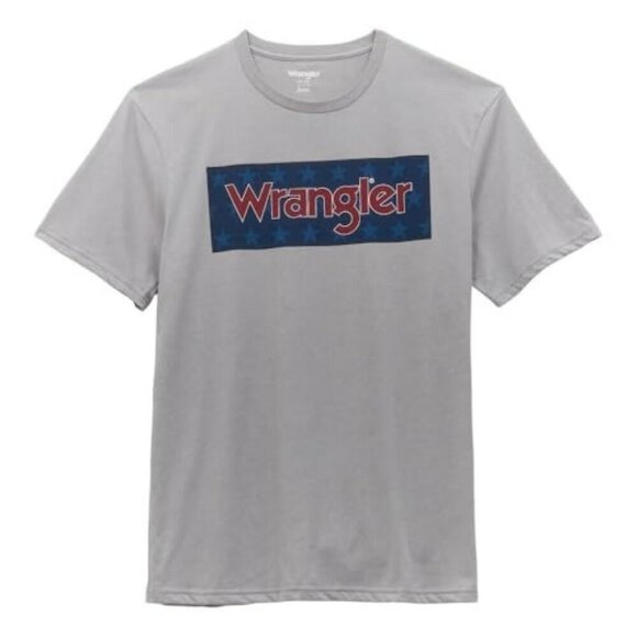 Wrangler Men's Short Sleeve Star Block Logo Graphic T-Shirt - Grey - Picture 1 of 4